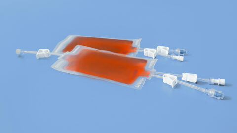 cell culture bags